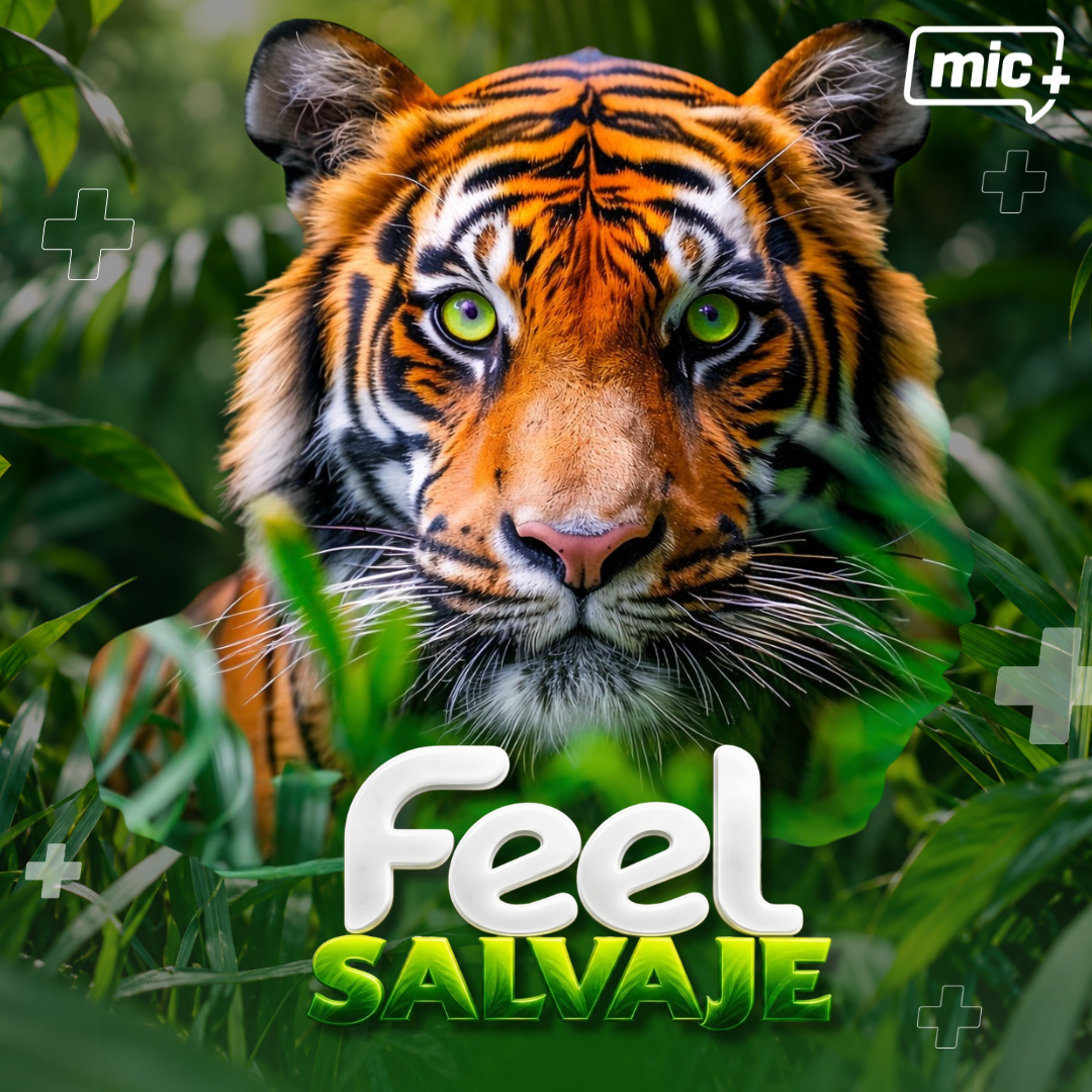 Feel Salvaje